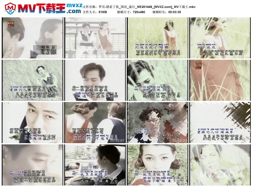 罗宾-错看了你_国语_流行_ME201449